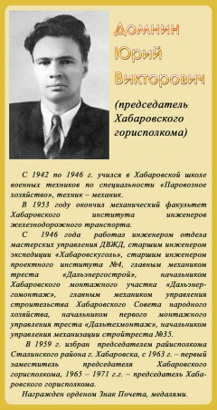 Домнин Юрий Викторович